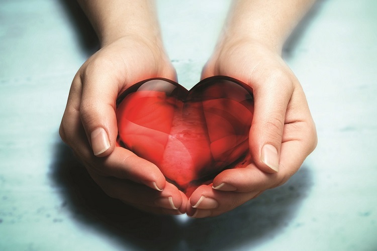 Heart